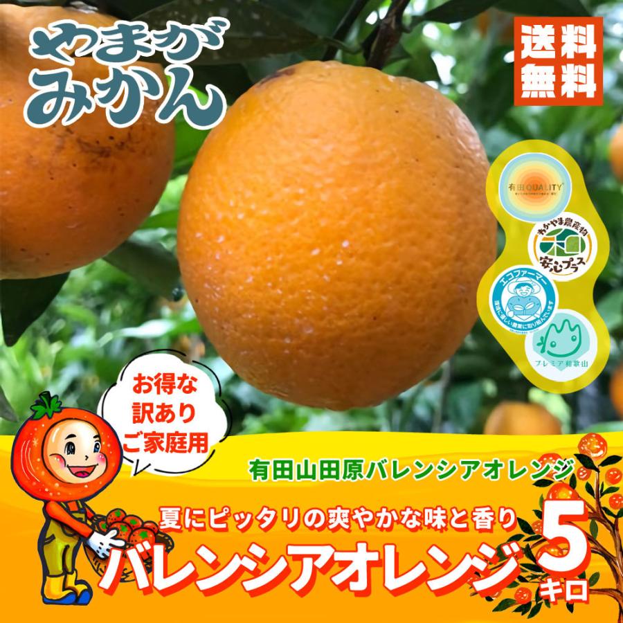 国産 訳あり家庭用 バレンシアオレンジ 5kg 化学肥料不使用 減農薬