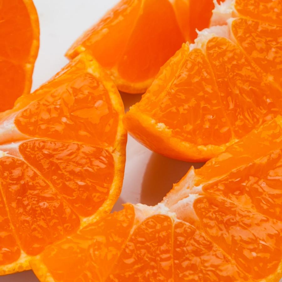 有田みかん 木成り有田の陽の一郎 （ありだのひのいちろう） 5kg 化学