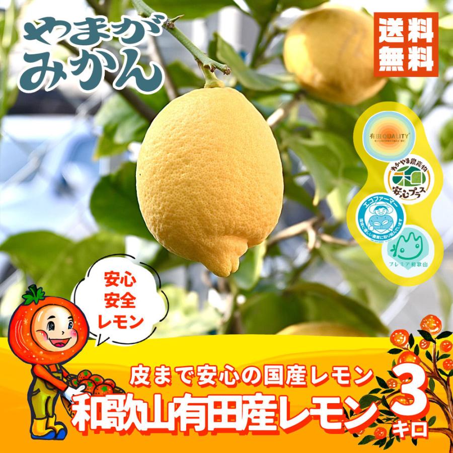 国産 レモン・グリーンレモン 約3kg 化学肥料不使用 減農薬 和歌山有田