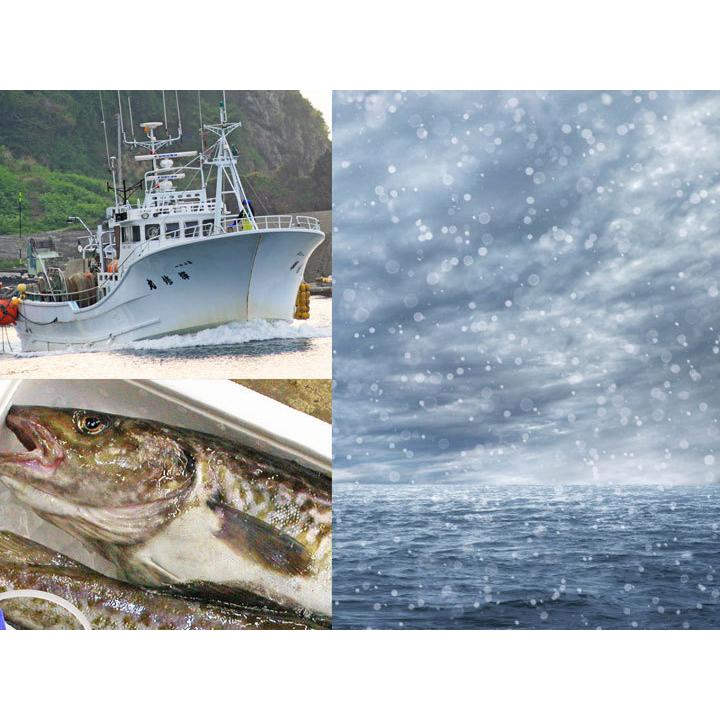 真鱈 寒鱈 オス 白子 2 5kg 3kg丸ごと1尾 冷蔵 日時指定不可 山形県産天然 マダラ たら 鱈 0 Tara4kg1bi お食い初め鯛料理の店ザ フレア 通販 Yahoo ショッピング