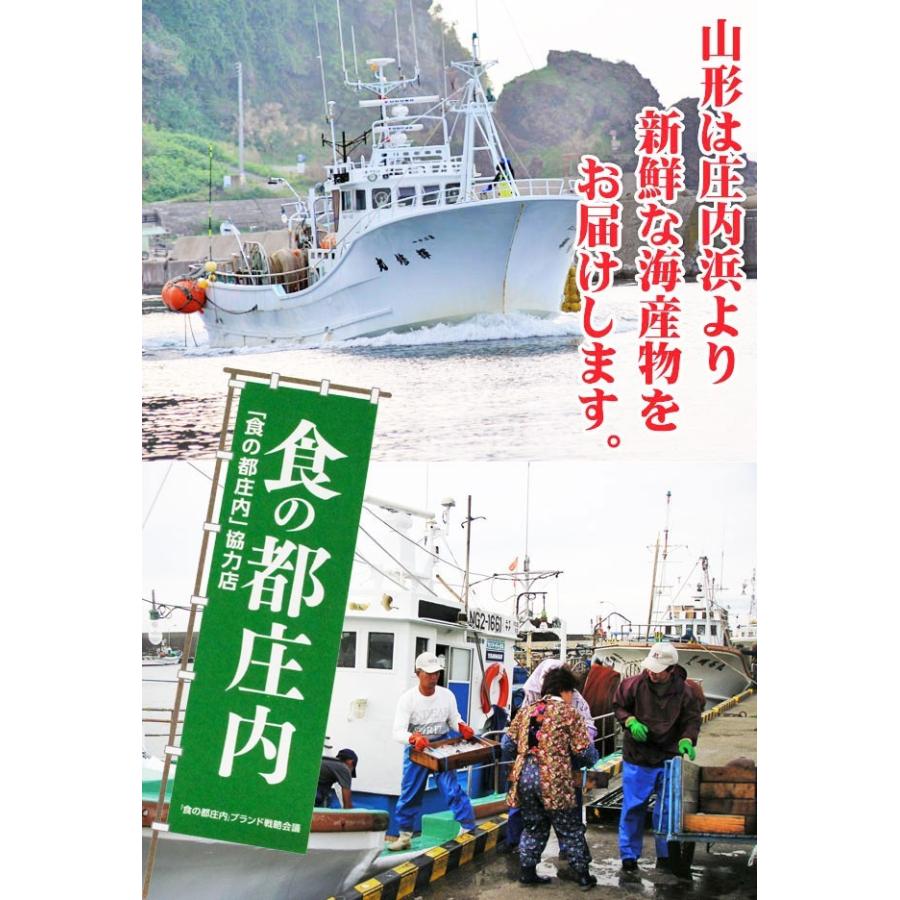 子持ちハタハタ ぶりこ メス 5 7尾入り400g前後 生冷凍 山形県庄内浜産 鰰 国産 天然 食品 魚介類 海産物 Hatahata Mesu500g5 お食い初め鯛料理の店ザ フレア 通販 Yahoo ショッピング