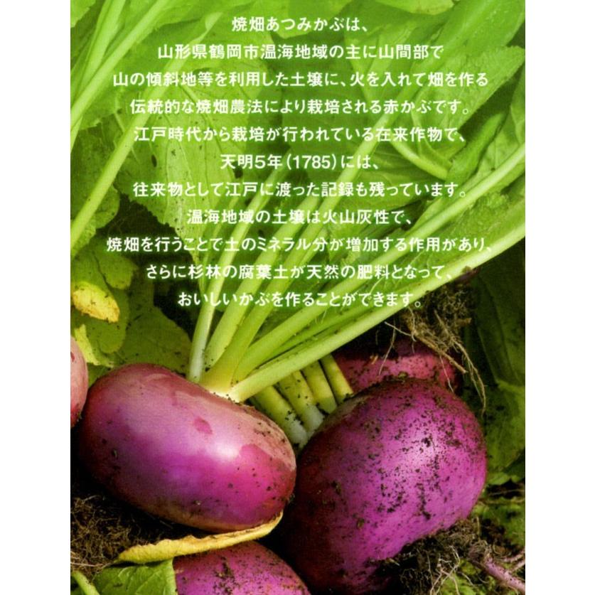 スピード対応 全国送料無料 野菜 赤かぶ 1ｋｇ 10個前後 常温 山形県鶴岡市 栽培期間中無肥料 無農薬 赤カブ かぶら Wantannas Go Id