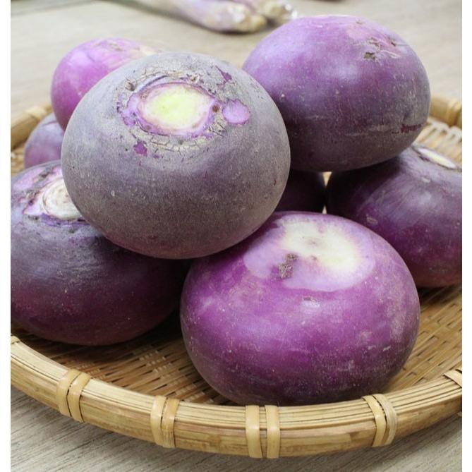 野菜 赤かぶ 1ｋｇ 10個前後 常温 山形県鶴岡市 栽培期間中無肥料 無農薬 赤カブ かぶら Moto015 お食い初め鯛料理の店ザ フレア 通販 Yahoo ショッピング