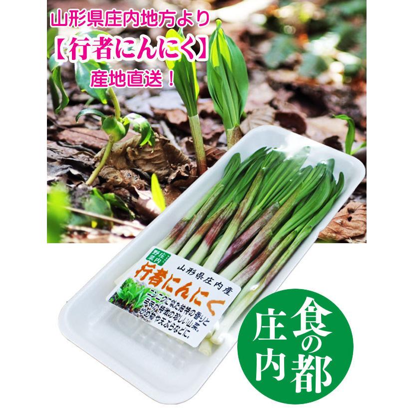 山菜 行者にんにく 約50ｇ 山形県庄内産　産地直送 行者ニンニク 食の都庄内 野菜｜yamagata-dadacha｜02