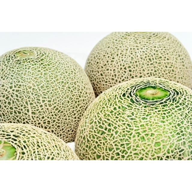 庄内砂丘特産 アンデスメロン 3L4個 贈答用 - 通販 - guianegro.com.br