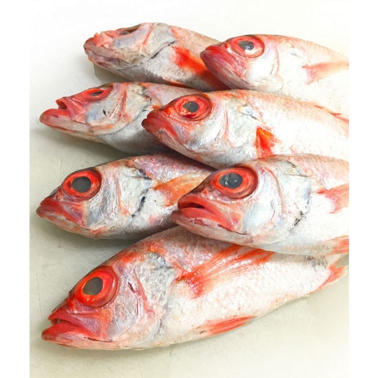 のどぐろ アカムツ 刺身 60ｇ前後 冷凍 赤むつ ノドグロ 高級 お造り 日本海 おせち お正月 Nd01 お食い初め鯛料理の店ザ フレア 通販 Yahoo ショッピング