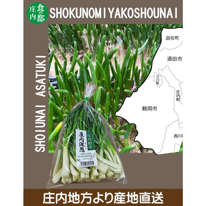あさぎ　山形県産　菊芋パウダー　2kg(100g×20袋) 山菜　野菜 楽天市場】菊芋パウダー 菊芋 100g 国産 イヌリン 粉末 きくいも 粉 茶