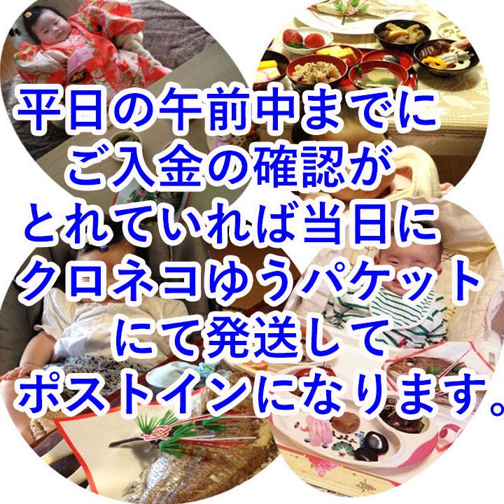 鯛 飾り お食い初めセットA 百日祝い 100日祝い ネコポス便で平日午前
