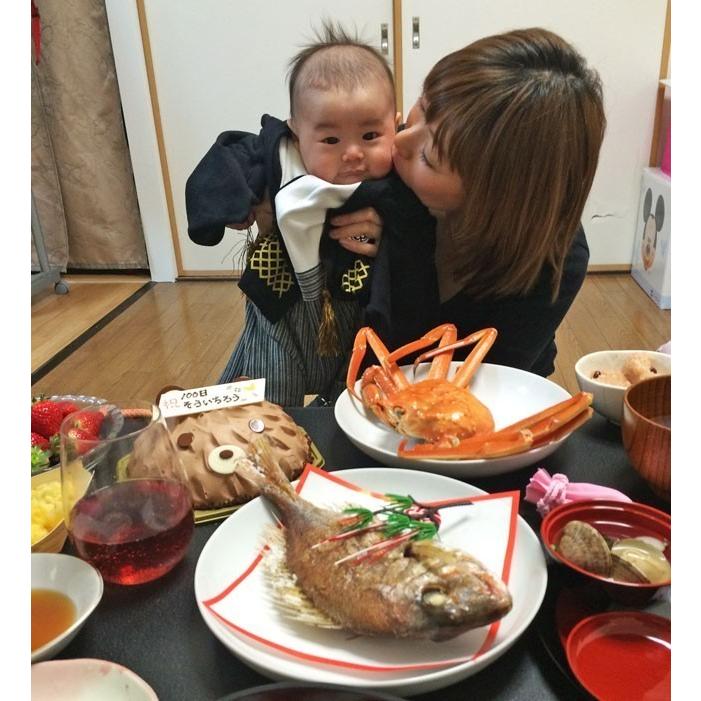 鯛 飾り お食い初めセットA 百日祝い 100日祝い ネコポス便で平日午前
