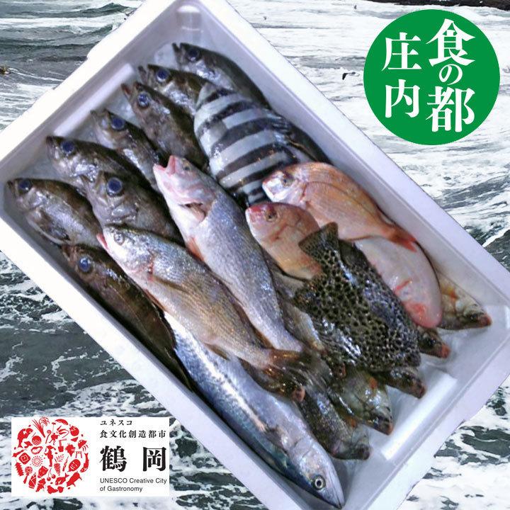 鮮魚セット A 山形県庄内産 鮮魚ボックス 詰め合わせ box 直送 魚 食の都庄内｜yamagata-dadacha