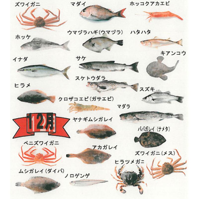 鮮魚セット A 山形県庄内産 鮮魚ボックス 詰め合わせ box 直送 魚 食の都庄内｜yamagata-dadacha｜06