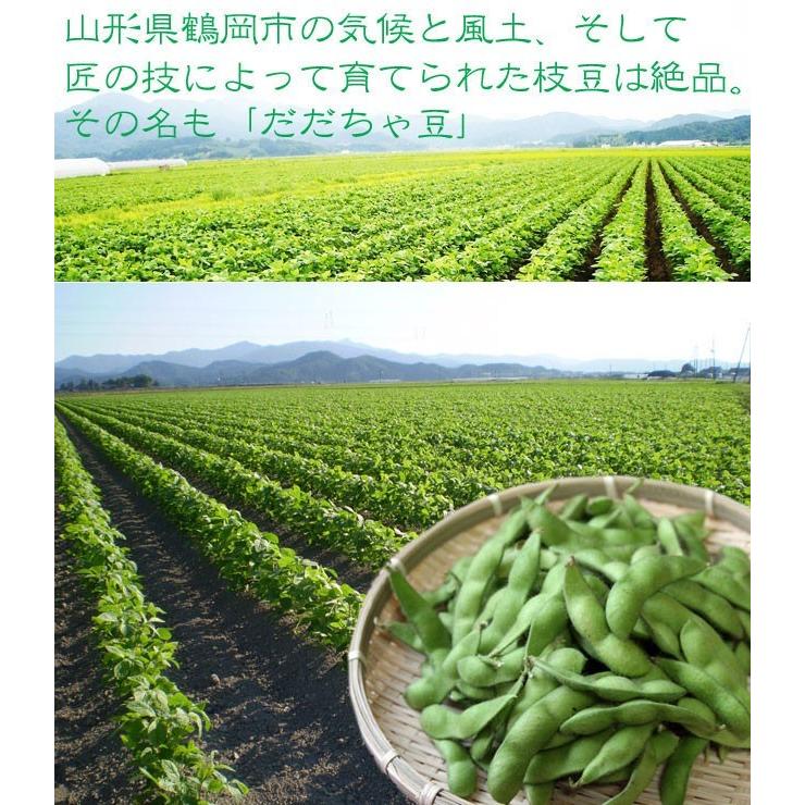 だだちゃ豆 冷凍 500ｇ白山 山形県産 朝採り 有機肥料 だだ茶豆 枝豆 えだまめ 庄内 鶴岡市 ギフト 贈答 お歳暮 お中元 Ti003 お食い初め鯛料理の店ザ フレア 通販 Yahoo ショッピング