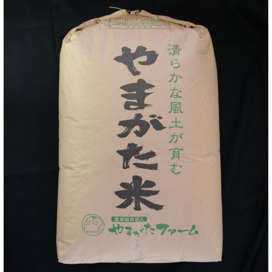 ☆2024年山形県産 【はえぬき】 玄米30kg (一等米) 石抜き済み ☆2024年山形県産 【はえぬき】 玄米30kg (一等米) 石抜き済み