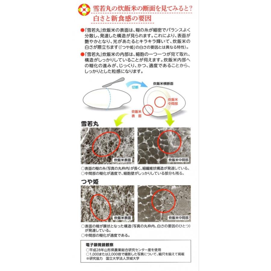 ☆【雪若丸】2025年山形県産 白米5キロ : やまがたファーム - 通販