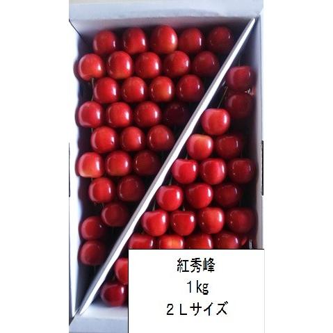 さくらんぼ 紅秀峰 山形県産 贈答用 ギフト 御中元 自家農園栽培 １kg ２Ｌサイズ 予約商品