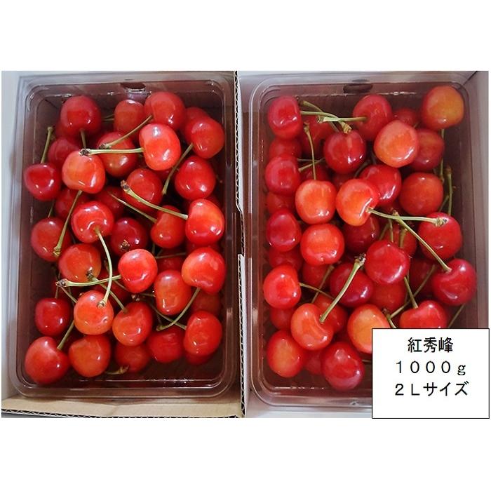 さくらんぼ 紅秀峰 山形県産 贈答用 ギフト 御中元 自家農園栽培 １kg ２Ｌサイズ バラ詰め 予約商品