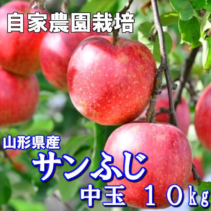 りんご サンふじ 山形県産 自宅用 10kg 秀 中玉 36玉〜40玉入り
