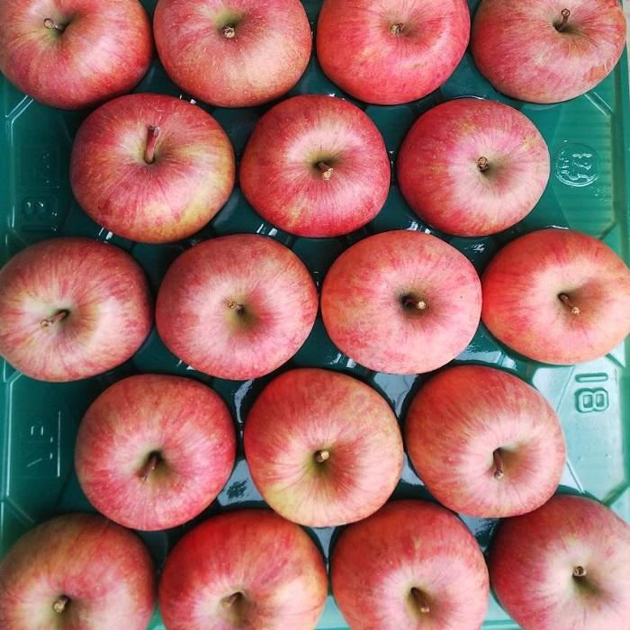 りんご サンふじ 山形県産 自宅用 10kg 秀 中玉 36玉〜40玉入り