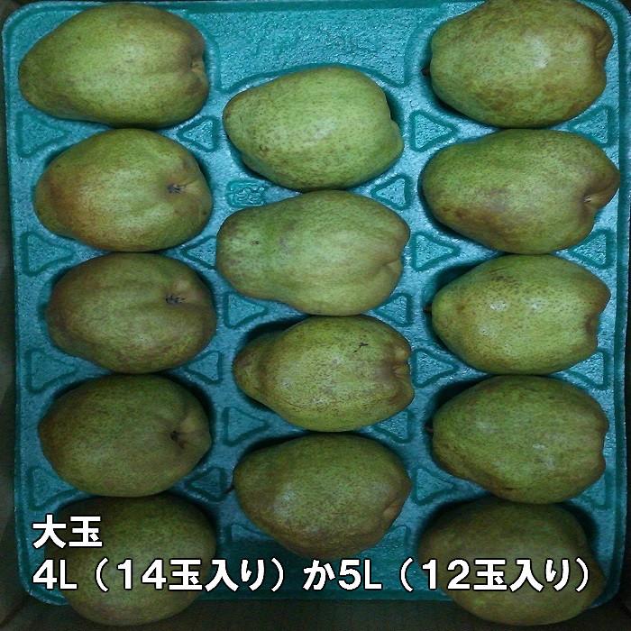 ラ・フランス 山形県産 贈答用 御歳暮 5kg 大玉 4L〜5L 12玉〜14玉