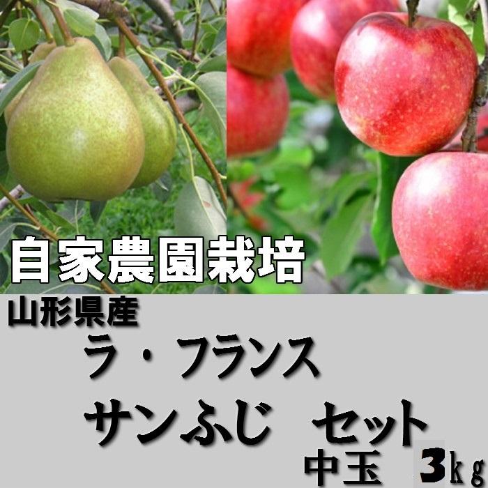 サンふじ ラ・フランス 詰合せ 山形県産 贈答用 御歳暮 3kg 特秀 中玉