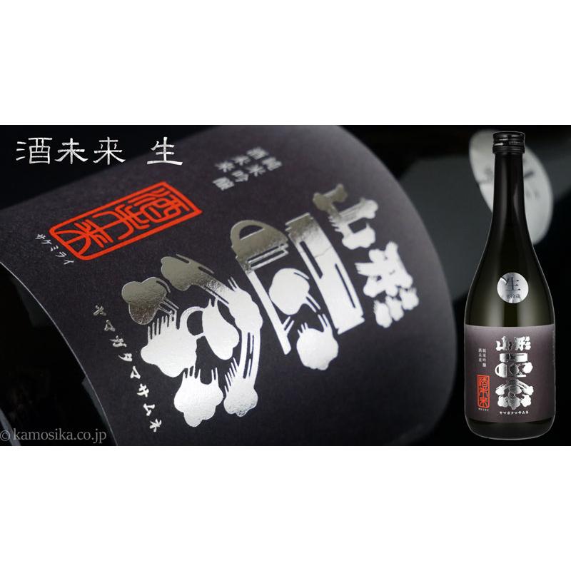 日本酒　純米吟醸　山形正宗　酒未来　生　冷酒　720ml （さけみらい　サケミライ）山形県　水戸部酒造｜yamagata-kamosikaya｜03