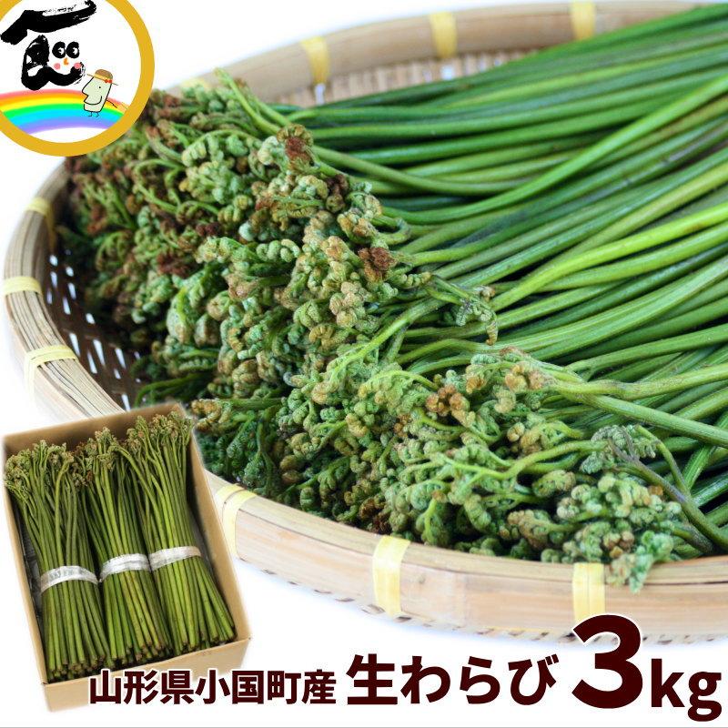 【セール価格！】山形県産 天然生わらび 3kg 蕨 わらび ワラビ 新鮮 山菜 あく抜き用重曹付 料理用 食材 ギフト お取り寄せ（Yahoo!・さくらんぼ 山形ふるさと食品館）