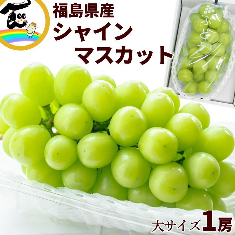 SALE/10％引き】福島県産 シャインマスカット 秀品 600g 1房 高級