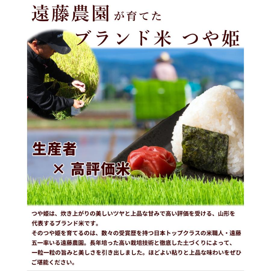 日本の銘米 【令和7年産】山形県産 つや姫 白米 10kg 特別栽培米 遠藤