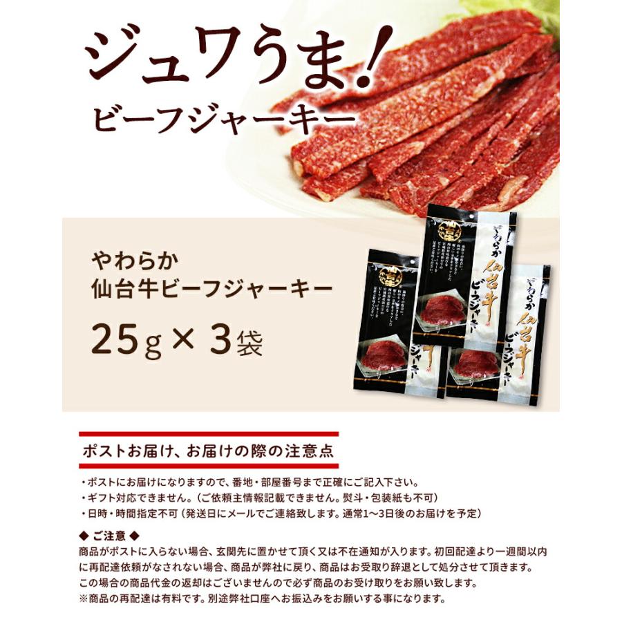 ジャーキー やわらか仙台牛 ビーフジャーキー 25g×3袋 おつまみ