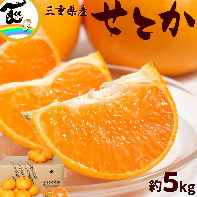 みかん せとかみかん 三重産 かきうち農園 せとか 秀品 5kg M〜2L混合