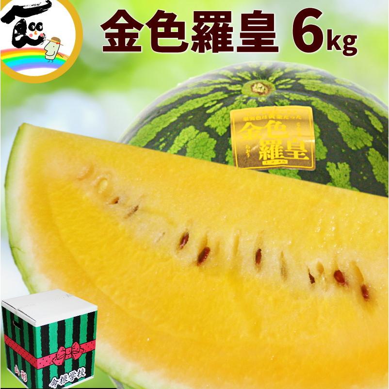 2年保証』 糖度14度以上保証 大玉スイカの最高傑作6L 11〜12kg y 味を厳選!1玉特7L12〜13kg箱込y