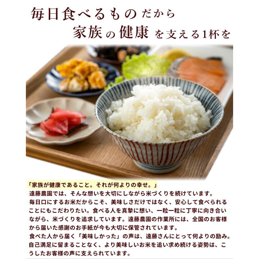 日本の銘米 【令和7年産】山形県産 つや姫 白米 5kg 特別栽培米 遠藤