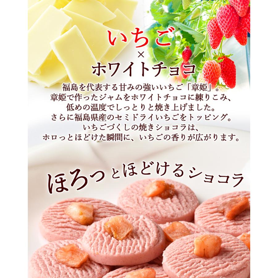 クッキー チョコレート いわきいちご焼きショコラ 9個入 福島 いわき