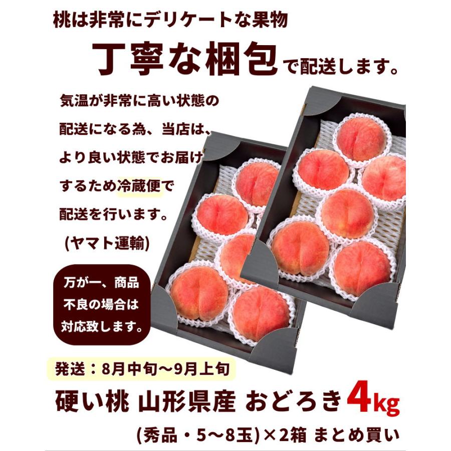 34山形県産 希少品種おどろき ご家庭用 箱込６㌔前後 農家直送 本日限定 食品 34山形県産 希少品種おどろき ご家庭用 箱込6㌔前後