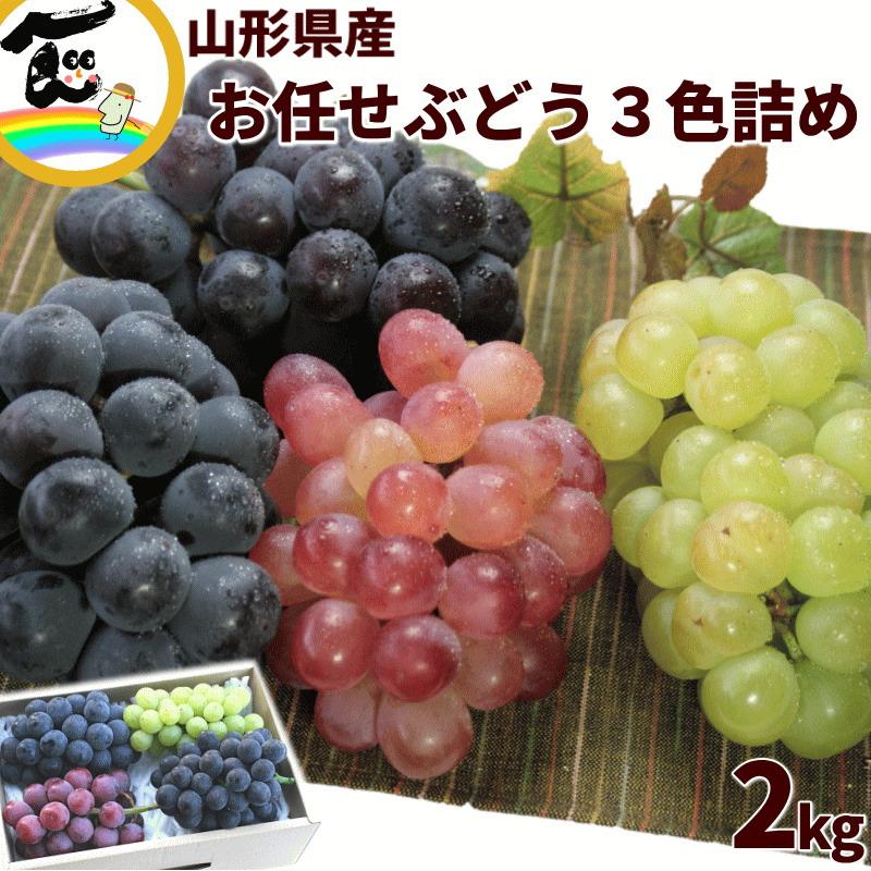 SALE/10％引き】ぶどう 山形県産 3色詰め合わせ 2kg 秀品 3〜5房