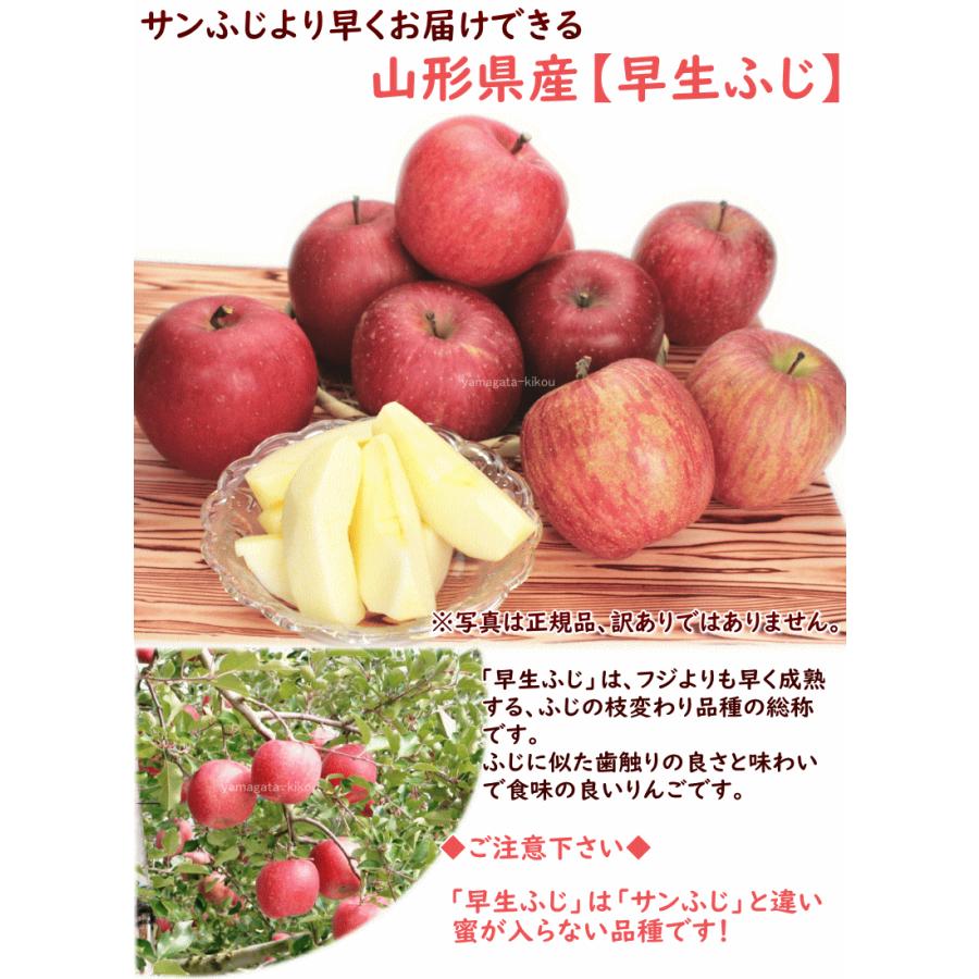 りんご 訳あり ふじ 早生ふじ 山形県産 訳あり早生ふじ 10kg 10月上旬頃から発送 送料込 りんご 山形県産 減農薬栽培 りんご 「夏あかり」2キロ箱 無選果