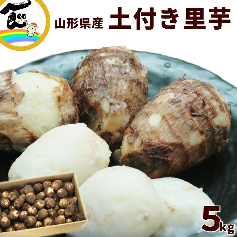 里芋 さといも 山形県 JA庄内たがわ 土付き里芋 5kg 秀品 MまたはL