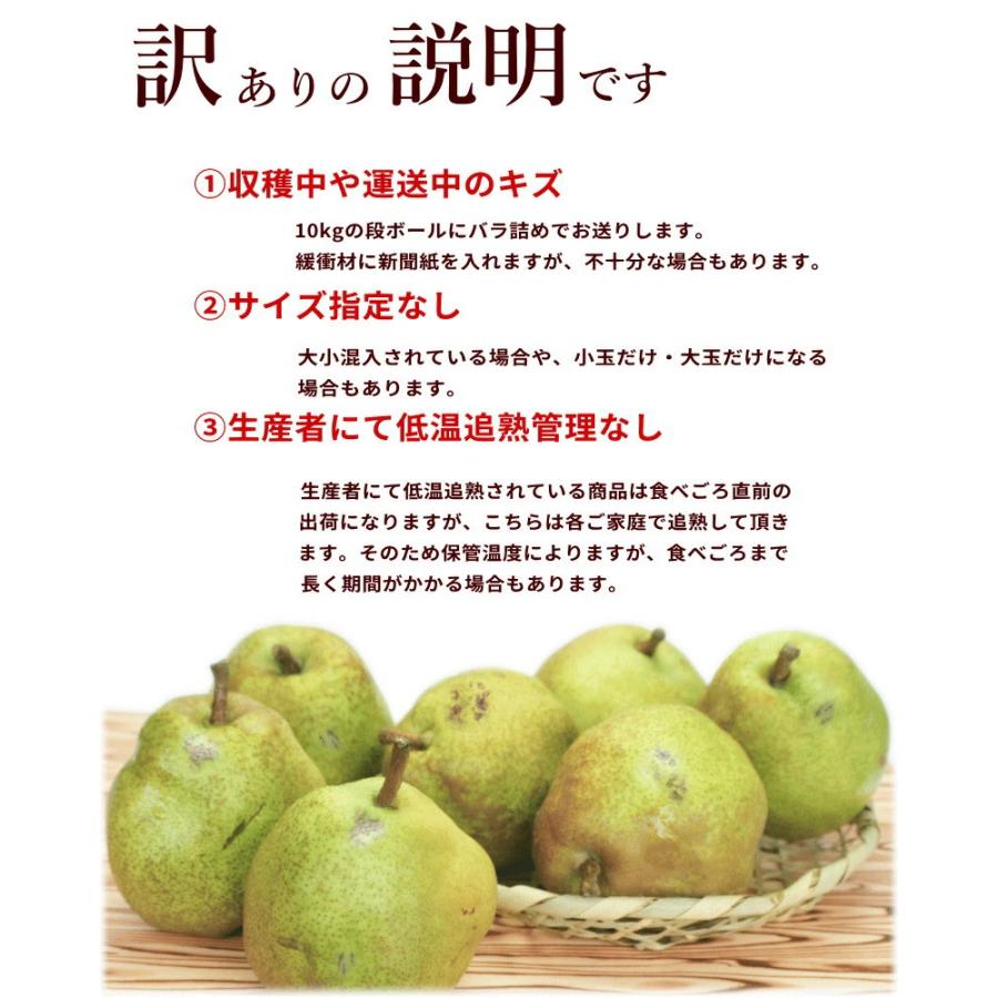 ラフランス 10kg 大玉 西洋梨 山形県産 ご家庭用 農家直送! - 食品