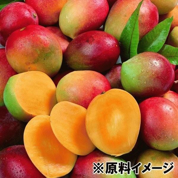 まとめ買い トロピカルマリア 冷凍マンゴー 500g×20袋 ペルー産アップルマンゴー 送料込｜yamagata-kikou｜03