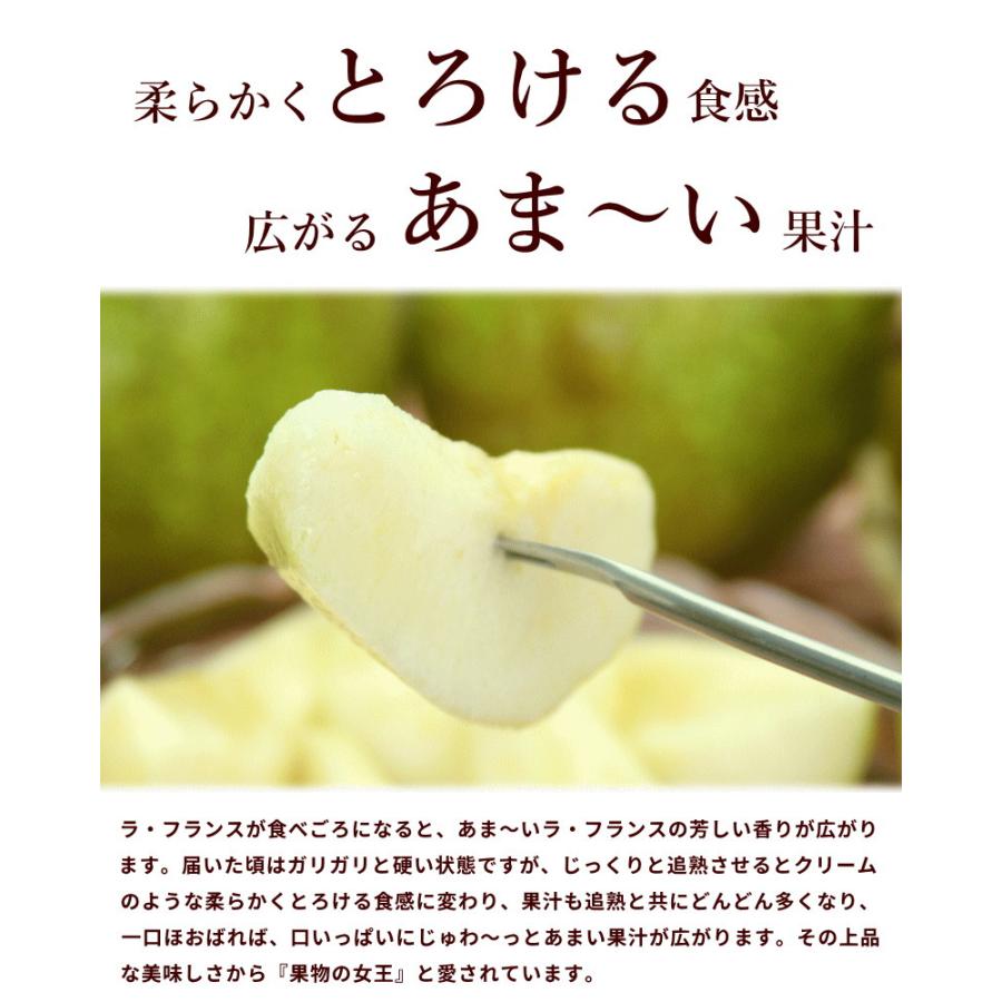 ラ・フランス 山形県産 訳あり 洋梨 10kg 玉数おまかせ ご家庭用 大