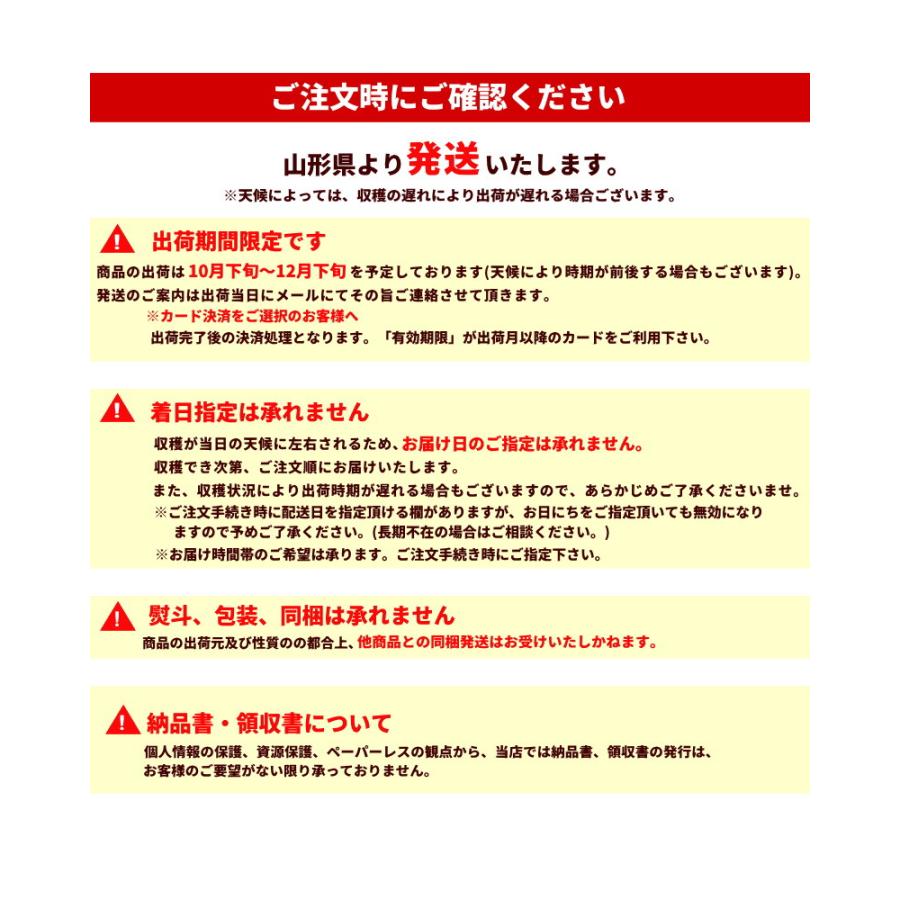 ラ・フランス 山形県産 訳あり 洋梨 10kg 玉数おまかせ ご家庭用 大