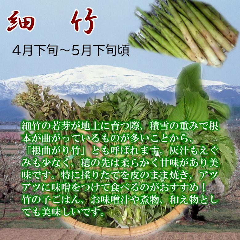 天然山菜 細竹(中) 500ｇ｜yamagata-maruta｜03