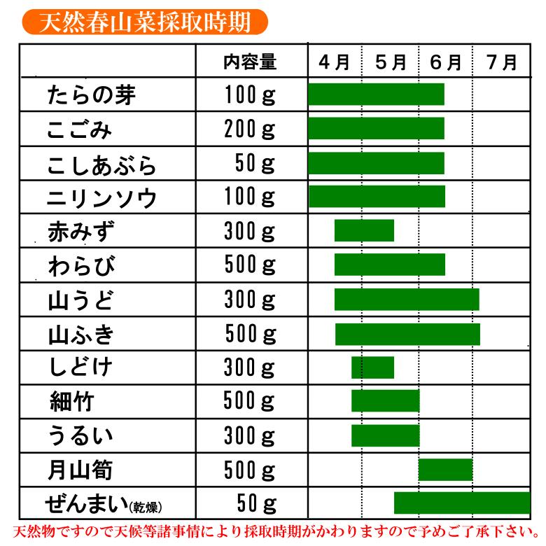 天然山菜 細竹(中) 500ｇ｜yamagata-maruta｜04