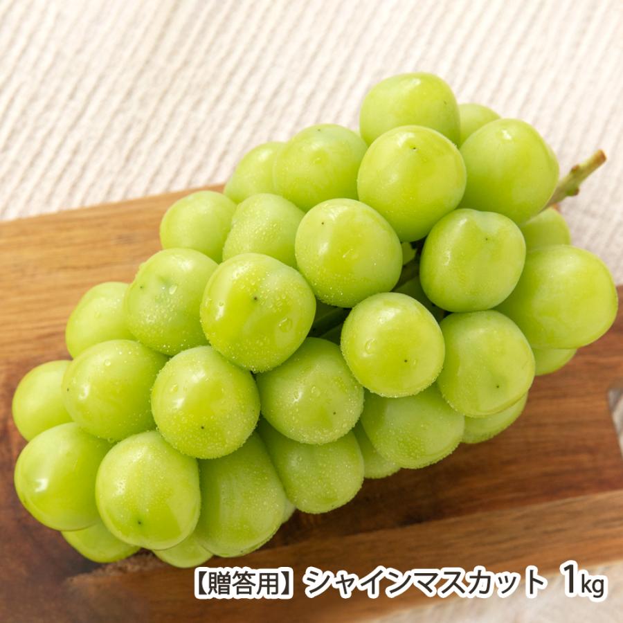 シャインマスカット 贈答用1kgの販売店商品写真