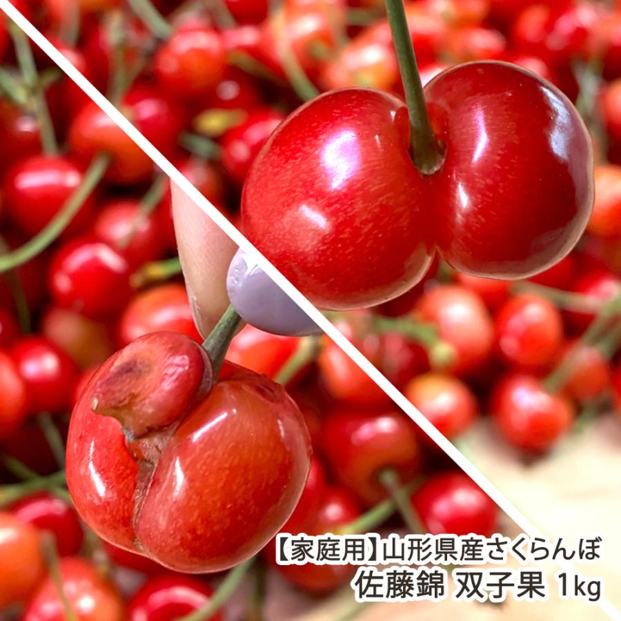 すおみ　佐藤錦双子2キロ 家庭用】山形県産さくらんぼ 佐藤錦 双子果 1kg/戸田農園/後払い決済