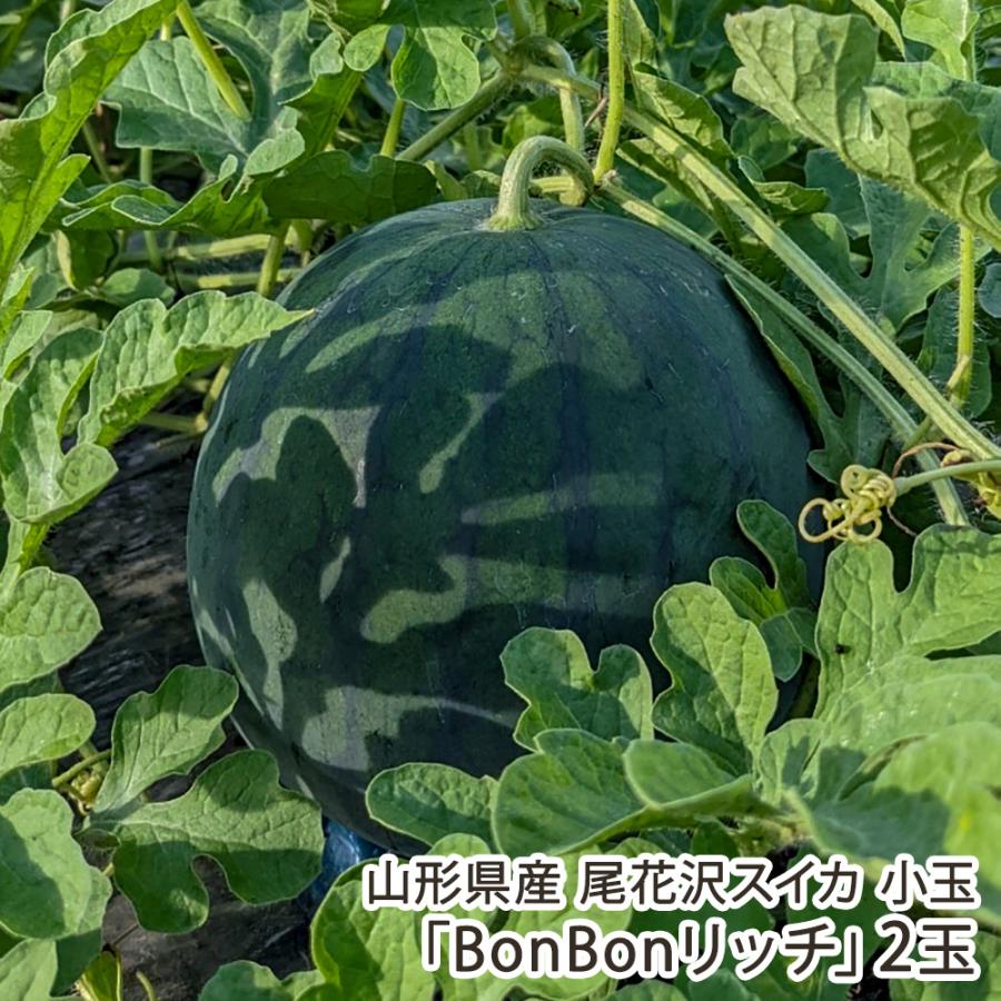 山形県産 尾花沢スイカ 小玉「BonBonリッチ」2玉/朝の香ファーム