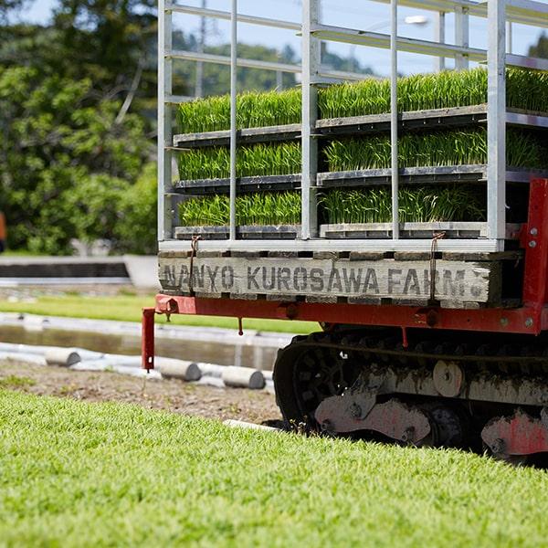 黒澤ファームのお米「夢ごこち」精米約2kg｜yamagata-umaies｜08