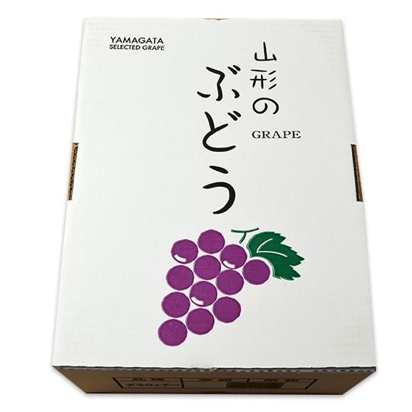 山形本沢ぶどうデラウエア約2kg(L〜3L/10〜16房)|yamagata-umaies|05