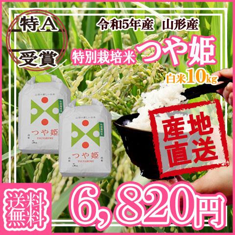 令和5年産 送料無料 山形県産 つや姫 白米 5kg×2 十キロ お米 10キロ おこめ 白米 はくまい 10kg｜yamagatahiroba｜02