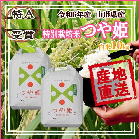つや姫 令和6年産随時発送 令和7年産 新米 予約受付中 山形県産 つや姫 令和6年産随時発送 令和7年産 新米 予約受付中 山形県産
